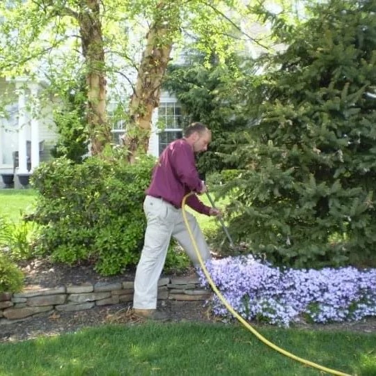 SERVICES HALLS TREE AND SHRUB CARE INC.